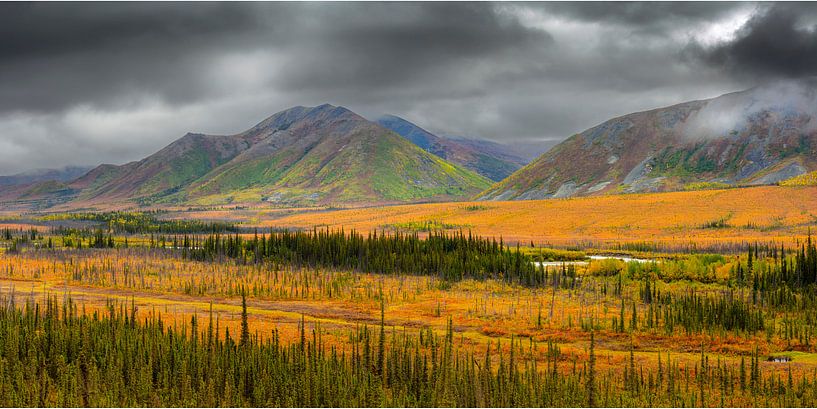 Landschap in de Brooks Range in herfstkleuren von Chris Stenger