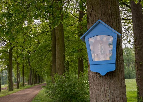 Westerlo