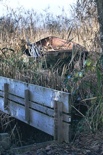 De onbereikbare boot in het riet