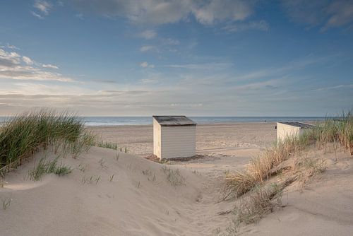 Beach cottage in the dunes