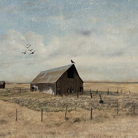 De lege schuur van Iris van Heusden