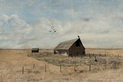 Waar het Land Begint