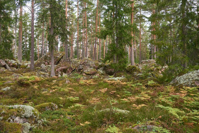 sweden 275 by Geertjan Plooijer