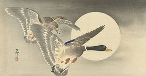 Ohara Koson - Zwei Enten bei Vollmond (bearbeitet)