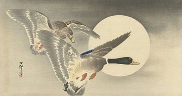 Ohara Koson - Twee eenden bij volle maan (bewerkt) van Peter Balan