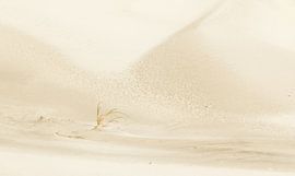 Verloren by Marieke van der Doef