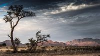 panorama in Namibia