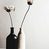 Black And White Vase No 2 by treechild .