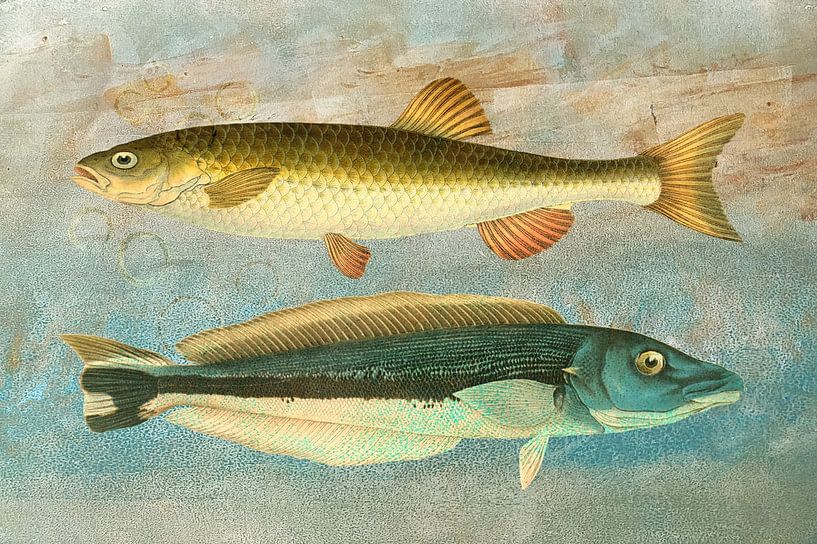 Zwei Fische auf Blau von Behindthegray