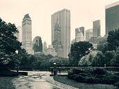 Central Park - New York City van Guido Heijnen thumbnail