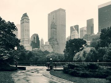 Central Park - New York City van Guido Heijnen
