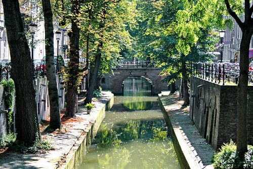 'Old Utrecht 1'