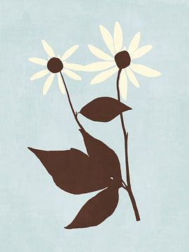Rudbeckia