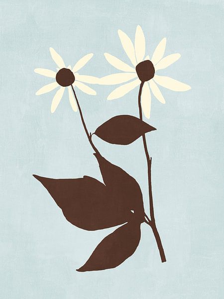 Rudbeckia by Adriano Oliveira