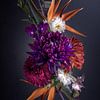 Collection de natures mortes II - Fleur d'oiseau de paradis sur Sandra Hazes