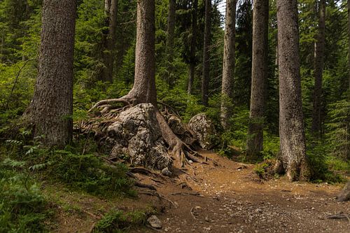 Lago di Carezza / Karersee