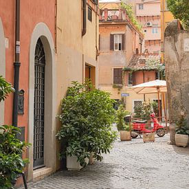 Straat in de Wijk Trastevere in Rome - Italië Fotografie van Henrike Schenk