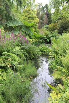 Jardins botaniques Fletcher Moss, Manchester, Angleterre sur Imladris Images