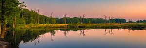 Zonsopkomst Appelbergen van Henk Meijer Photography