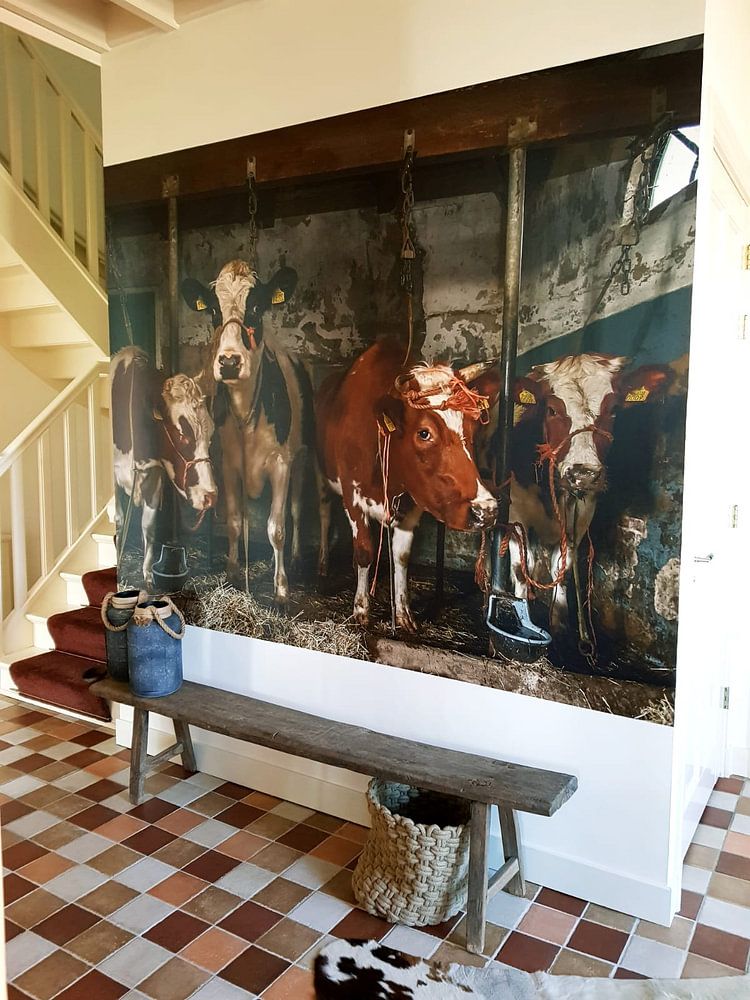 Kühe im alten Kuhstall von Inge Jansen