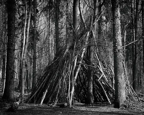 Forrest Live