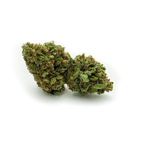 Fleur de cannabis de la CDB par Felix Brönnimann