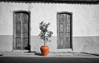 Gran Canaria doors