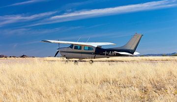 Cessna 210 Centurion dans l'herbe de la savane