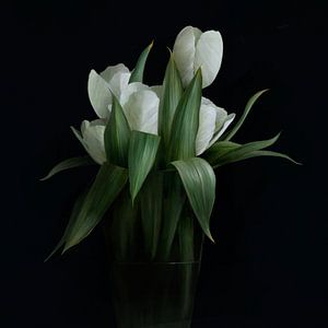 Witte tulpen van annemiek art