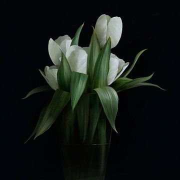 Tulipes blanches sur annemiek art