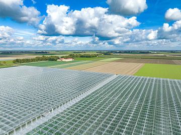 Greenhouse for growing vegetables aerial view from above by Sjoerd van der Wal Photography