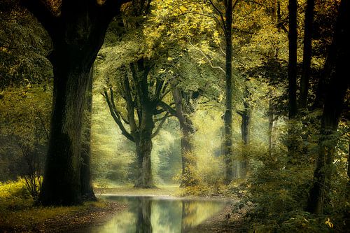 Starting To Remember