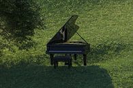 Zwarte piano in een vredig graslandschap van Besa Art thumbnail