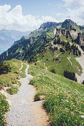 Schynigge Platte Trail