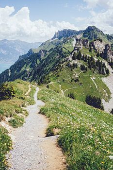 Schynigge Platte Trail