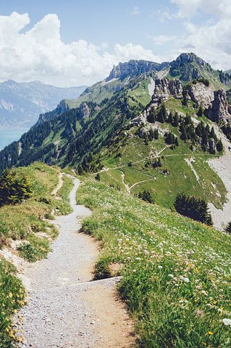 Parcours Schynigge Platte