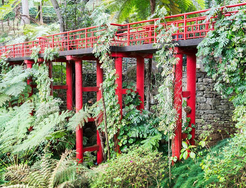 jpanese garden on madeira island van ChrisWillemsen