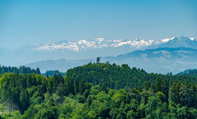 Swiss mountain view with forest top by Leo Schindzielorz