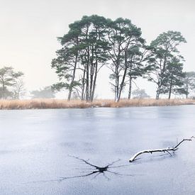 Crack in the ice by René Vierhuis