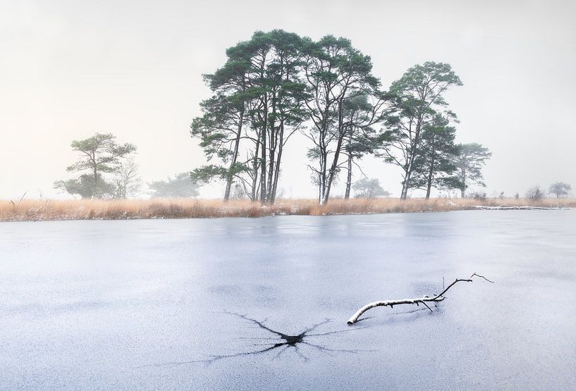 Crack in the ice van René Vierhuis