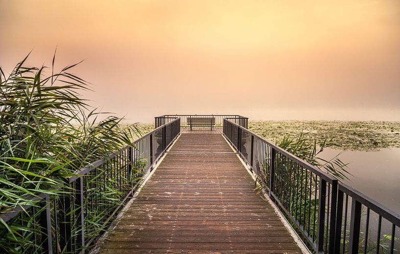 The Seeburg lake by Steffen Henze