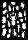 Collage Käfer in weiß schwarz von Jasper de Ruiter Miniaturansicht