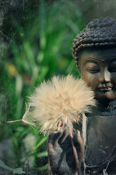 Méditation par Martine Affre Eisenlohr