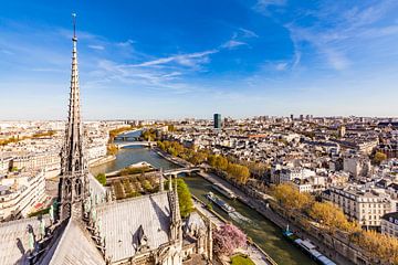 Uitzicht vanaf de kathedraal Notre-Dame over Parijs van Werner Dieterich