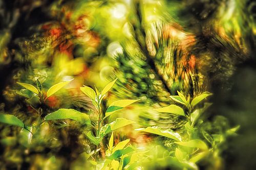 Junge Frühlingsblätter