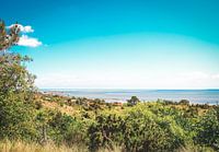 Uitzicht op Vlieland en de Waddenzee