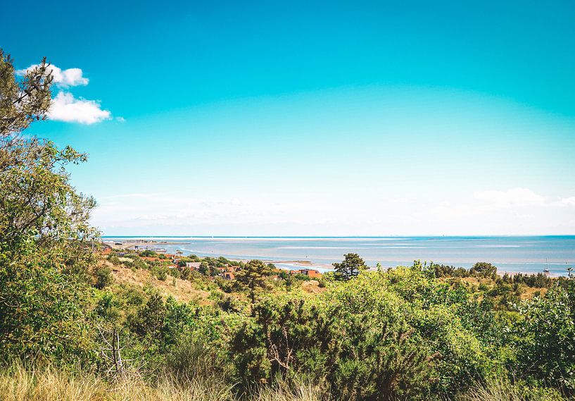 Blick auf Vlieland und das Wattenmeer von Daphne Groeneveld