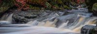 Hoëgne Rivier België