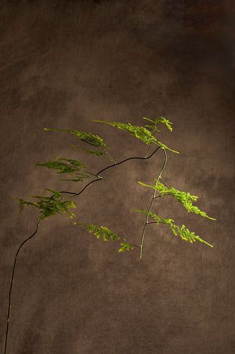 Stilleben mit einem Zweig