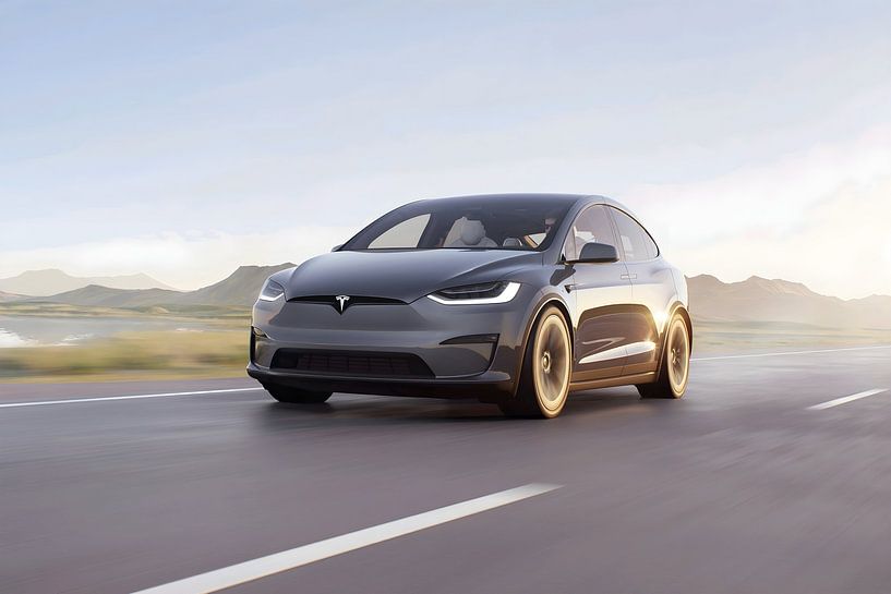 Tesla Model X Plaid van Art Indi